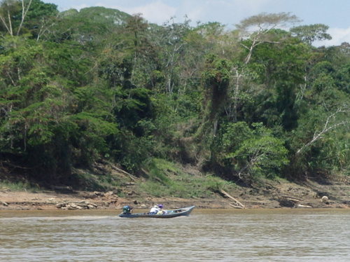 Corto Maltes, Amazonia.